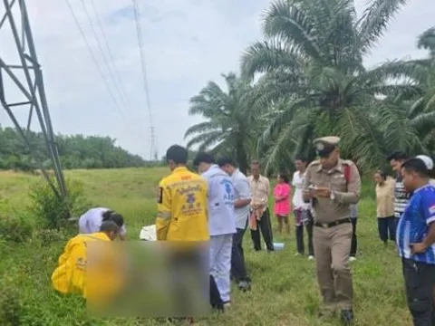 Trèo lên tháp truyền tải điện cao thế, nam thanh niên bị điện giật tử vong