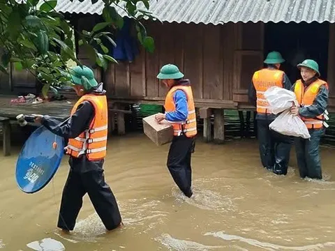 Quảng Bình mưa lớn do ảnh hưởng bão số 1, gần 1.500 ha lúa hè thu bị ngập sâu