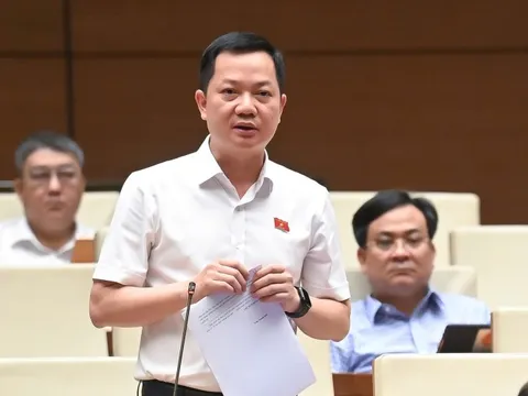 Đề nghị giám sát chặt tình trạng hàng giả, hàng nhái, hóa đơn tính thuế