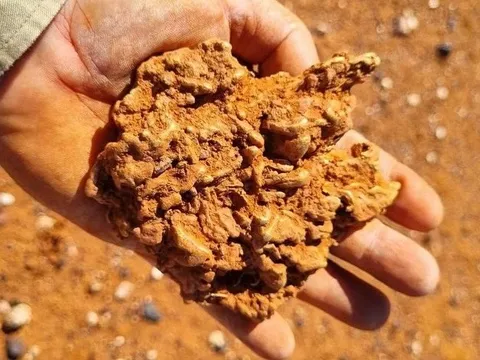 Hai người đàn ông đào được cục vàng khổng lồ trị giá 4,1 tỷ đồng