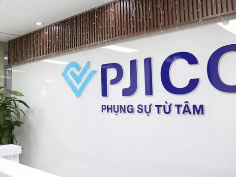 PJICO có tân Tổng Giám đốc