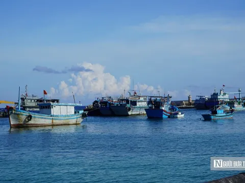 2 tàu cá bị chìm trên biển, 13 thuyền viên thoát nạn
