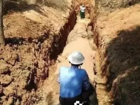 Đang làm ruộng, lão nông bất ngờ phát hiện khúc gỗ trị giá 600 tỷ đồng