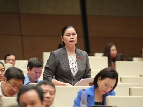 Cần có tiêu chí, công cụ quản lý, theo dõi việc thực thi lời hứa của Chính phủ và các bộ, ngành