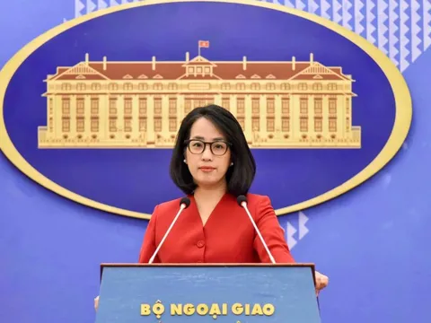 Mục tiêu của Việt Nam khi trở thành Nước Đối tác của BRICS?