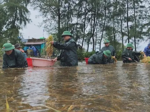 Quảng Trị khẩn trương khắc phục hậu quả bão số 1