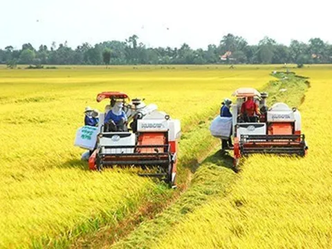 Ngành nông nghiệp và môi trường: Phân cấp, phân quyền để phát huy tối đa tiềm năng