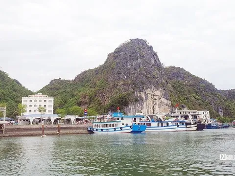 Tp.Hải Phòng có 114 đơn vị hành chính cấp xã gồm 67 xã, 45 phường và 2 đặc khu