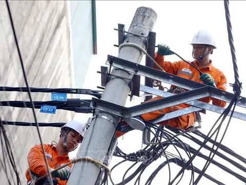 EVN bảo đảm điện ổn định cho Kỳ thi THPT quốc gia