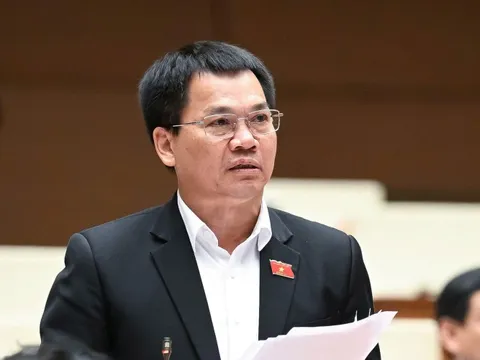 ĐBQH nêu lý do cần thiết đưa tội sử dụng trái phép chất ma túy vào Bộ luật Hình sự