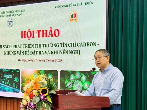 Định hình thị trường tín chỉ carbon: Đòi hỏi thể chế mạnh
