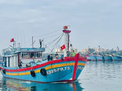 Đà Nẵng siết chặt quản lý 147 tàu cá chưa đủ điều kiện hoạt động