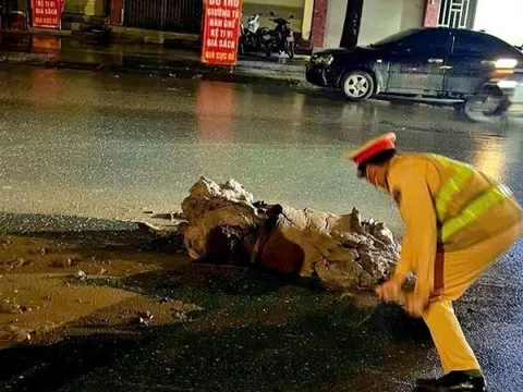 Hà Nội, truy vết, xử lý tài xế xe tải để rơi đất thải xuống đường trong đêm