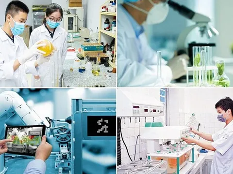 Hướng dẫn sắp xếp, tổ chức lại các đơn vị sự nghiệp công lập lĩnh vực KH&CN