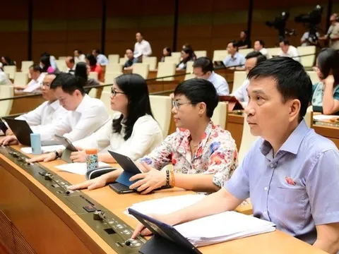 Rà soát các quy định cụ thể liên quan trách nhiệm quản lý nhà nước về chất lượng sản phẩm hàng hoá
