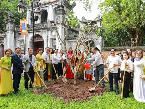 Hòa Minzy, Tuấn Cry, Minh Quân… hát “vì một màu xanh Việt Nam”, gắn kết cộng đồng người Việt toàn cầu