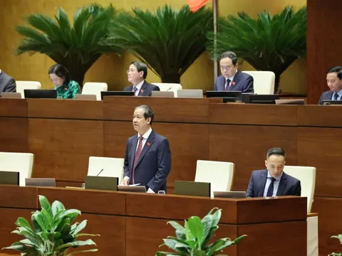 Phòng, chống bạo lực học đường: Cần sự phối hợp giữa nhà trường, gia đình và xã hội