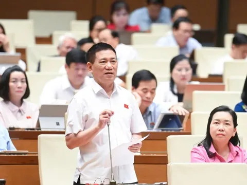 Phó Thủ tướng Hồ Đức Phớc: Nên áp dụng thuế khoán đối với hộ kinh doanh, buôn bán nhỏ, doanh thu dưới 1 tỷ đồng