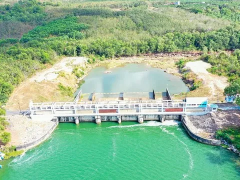 Phát hiện hàng loạt xác động vật đang phân hủy nổi trên kênh dẫn nước