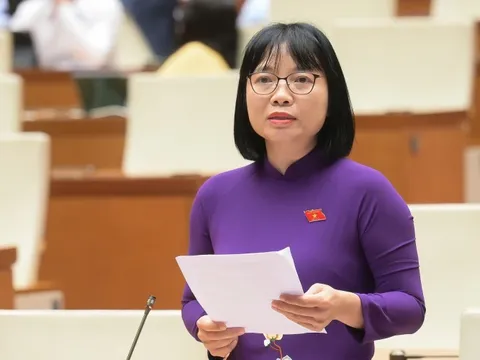 Xử lý hàng giả: Liệu có rơi vào tình trạng "bắt cóc bỏ đĩa", có còn tồn tại sự thờ ơ?