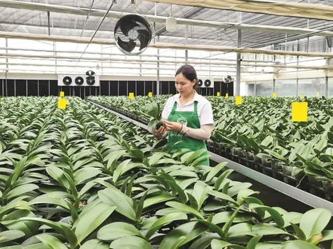 “Số hóa” bắt đầu từ những điều giản dị