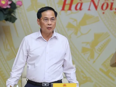 Xử lý 50.736 vụ việc vi phạm buôn lậu, hàng giả trong 6 tháng đầu năm