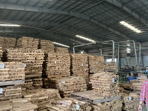 Tăng cường tính minh bạch của gỗ và các sản phẩm gỗ Việt trong chuỗi cung ứng
