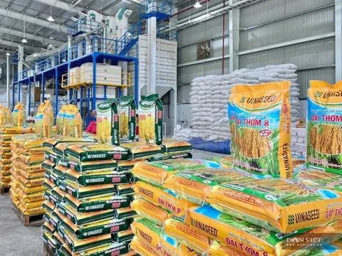 Lãnh đạo cấp cao Vinaseed xin nghỉ hưu trước tuổi