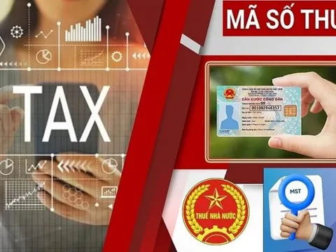 Hướng dẫn triển khai số định danh cá nhân chính thức thay mã số thuế từ 1/7