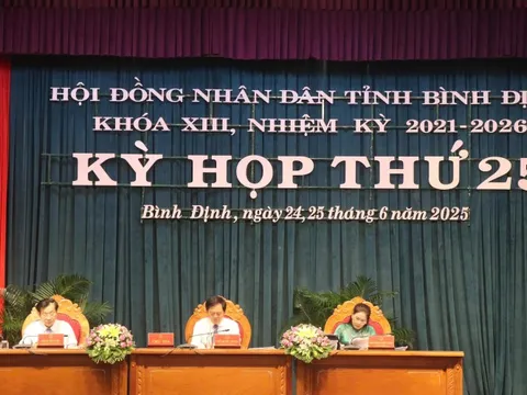 Bình Định: Kết quả ấn tượng 6 tháng đầu năm tạo nền tảng phát triển sau hợp nhất