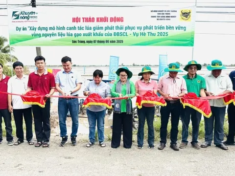 Bình Điền đẩy mạnh Dự án "Xây dựng mô hình canh tác lúa giảm phát thải phục vụ phát triển bền vững"