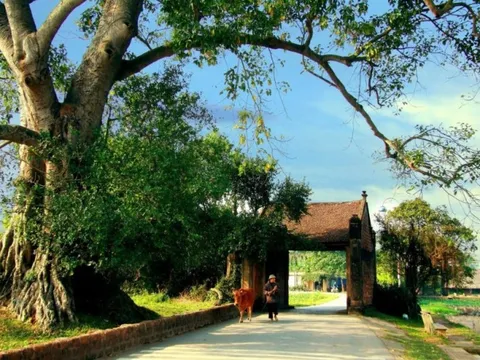 6 tháng đầu năm lượng khách du lịch đến Hà Nội ước đạt 15,56 triệu lượt