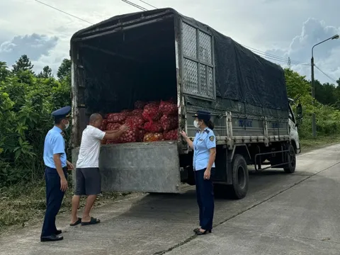 Thu giữ và tiêu hủy gần 17 tấn ngao, hàu từ Móng Cái vào nội địa tiêu thụ