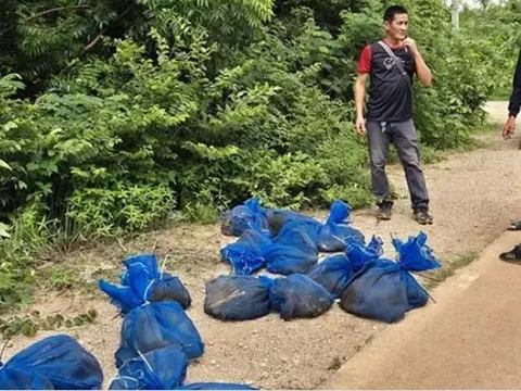 Phát hiện 25 chiếc túi lạ trong rừng, mở ra thấy cảnh tượng "nổi da gà"