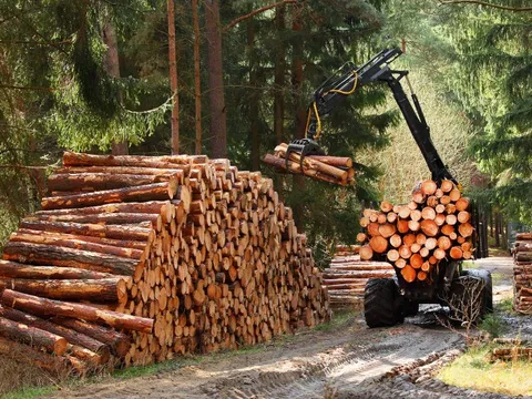 Pháp luật sẽ bảo vệ chúng ta