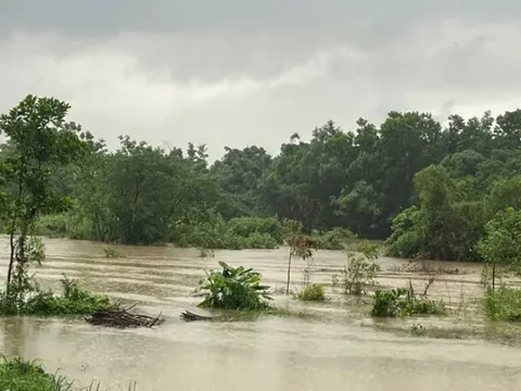 Khẩn trương bảo vệ các điểm đê xung yếu ở Hà Nội, Thái Nguyên và Bắc Ninh