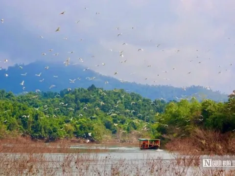 Đánh thức du lịch sinh thái đang “ngủ quên” trong Vườn quốc gia Vũ Quang