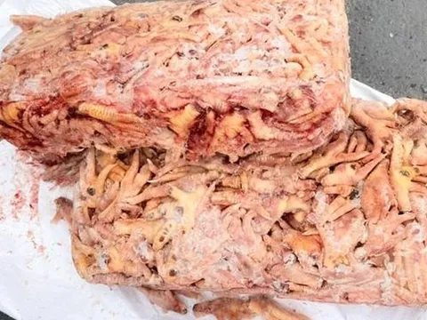 Khởi tố vụ án xuất khống 1.400 tấn chân gà đông lạnh, trốn thuế 7 tỷ đồng