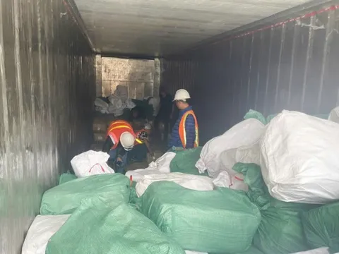 Xuất khống 1.400 tấn chân gà đông lạnh, Hải quan khởi tố vụ án trốn thuế 7 tỷ đồng