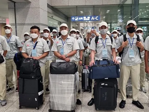 6 tháng đầu năm, gần 75.000 lao động Việt Nam đi làm việc ở nước ngoài