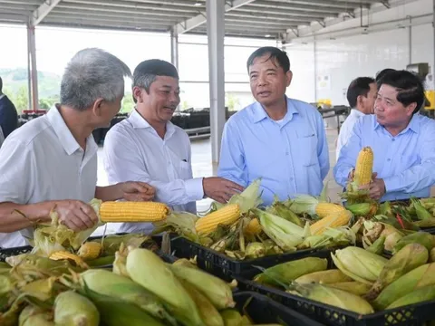 Lễ khánh thành dây chuyền đồ hộp giấy rau quả chế biến ở Sơn La