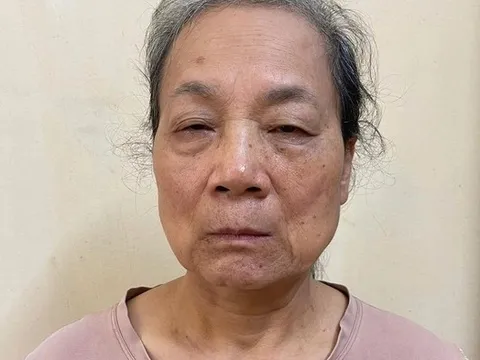 Khởi tố người phụ nữ livestream chửi bới tại tòa án ở Tuyên Quang