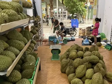 Xuất khẩu sầu riêng đông lạnh tăng 3 lần