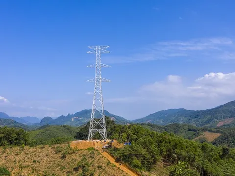 Dự án Đường dây 500kV Lào Cai - Vĩnh Yên: Hoàn thành kéo dây những khoảng néo đầu tiên