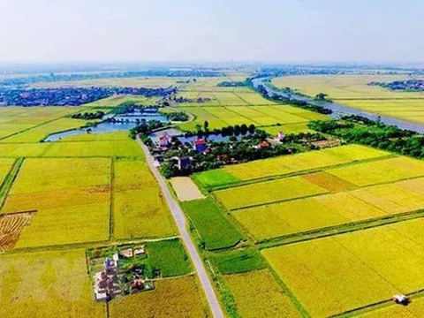 Kéo dài thời hạn miễn thuế sử dụng đất nông nghiệp