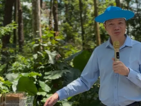 Ra mắt mô hình giáo dục rừng - nước đầu tiên tại Việt Nam