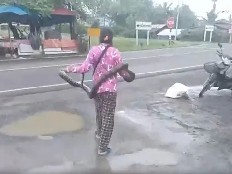 Đang đi dạo, bất ngờ thấy cảnh tượng "nổi da gà"