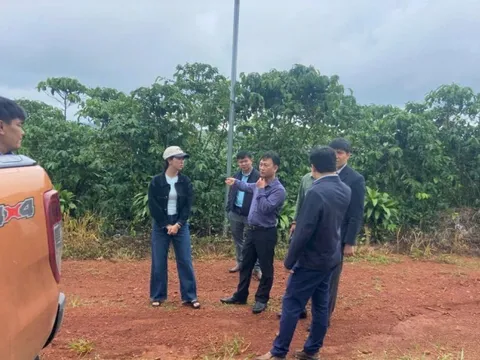 Vụ hơn 5,5 ha cà phê chết cành, rụng quả bất thường ở Lâm Đồng: Cơ quan chức năng lấy mẫu phân bón đi phân tích