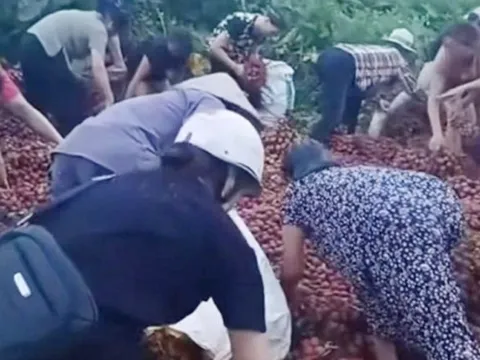 Vụ hàng chục người nhặt vải ven đường sau tai nạn có kết thúc đầy tình người