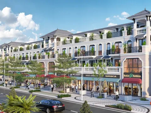 Imperia Grand Plaza Đức Hoà - “Điểm rơi” lý tưởng giữa làn sóng dịch chuyển đầu tư